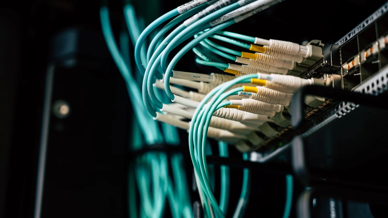 Cabluri de rețea conectate într-un server dintr-un centru de date