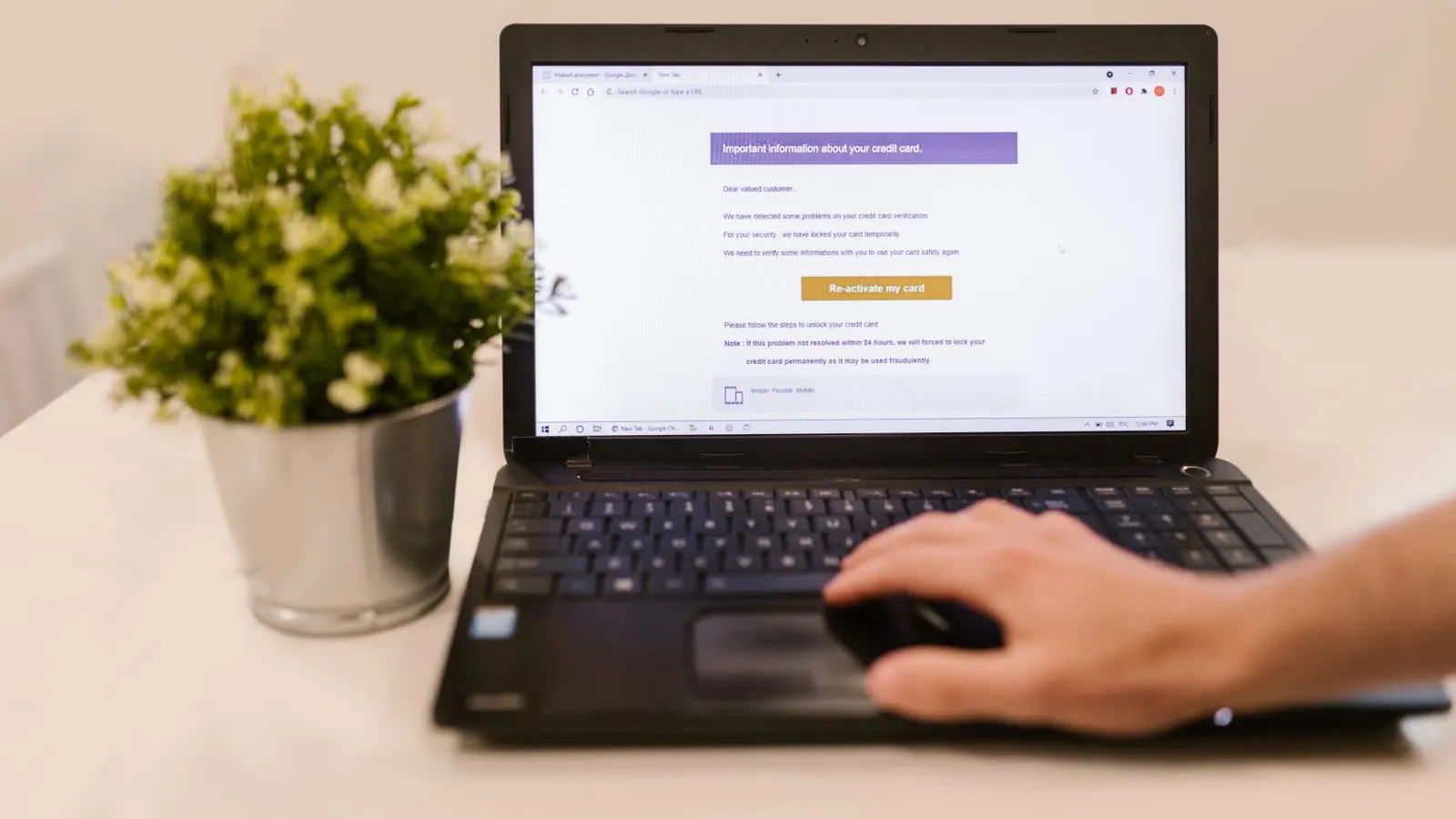 Laptop cu un email fals care cere reactivarea cardului bancar, lângă o plantă